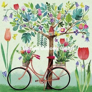 Carte Anniversaire Mila Marquis La Bicyclette Pres De L Arbre Fleuri