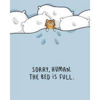 Carte Chat "Sorry, humain le lit est complet"