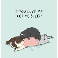 Carte Chat "Si tu m'aimes,laisse moi dormir"