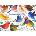 Carte Anniversaire enfants aquarelle Les oiseaux