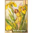 Carte Anniversaire Fées des Fleurs Iris jaune