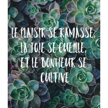  Carte citation Bonheur:" Le plaisir se ramasse, la joie se cueille et le bonheur se cultive"