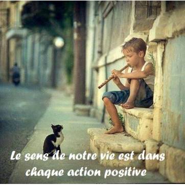 Citation Sur La Vie Le Sens De Notre Vie Est Dans Chaque Action Positive