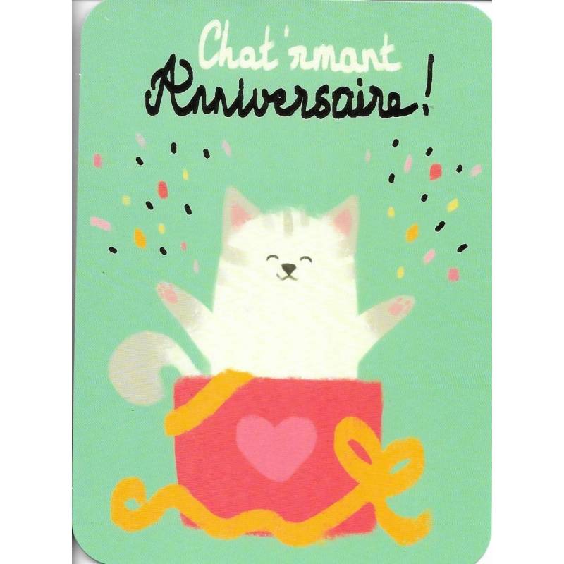 Carte Anniversaire Camille Chaussy Chat Rmant Anniversaire