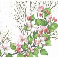 Carte Anniversaire Fleurs Kerstin Hess Fleurs de cerisier