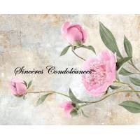 Carte Condoléances Bouquet de Pivoines roses