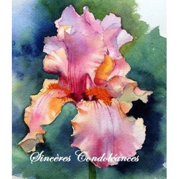 Carte Condoléances Iris violets nuancés