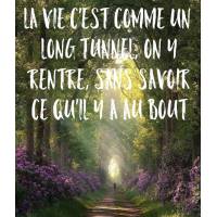 Citation sur la Vie: La vie c'est comme un long tunnel...