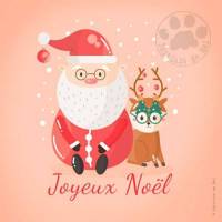 Carte Joyeux Noël et Nouvel An M B Père Noël et Renne