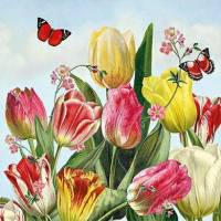 Carte Anniversaire Fleurs Vintage Barbara Behr Tulipes