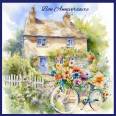 Carte Anniversaire Bicyclette et fleurs multicolores devant cottage 