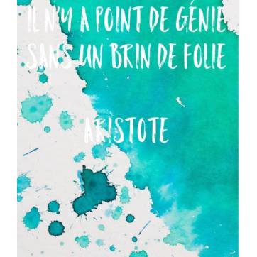 Carte Citation Humour Il N Y A Point De Genie Sans Un Brin De Folie